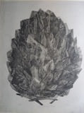 Blossom House, 1985, by Zarina