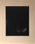 False Hope III, 2016, by Zarina