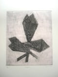 Homegrown, 1987, by Zarina