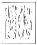 Untitled, 1975, by Zarina