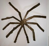 Spider, 1985, by Zarina