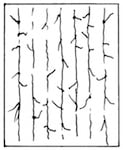 Untitled, 1977, by Zarina