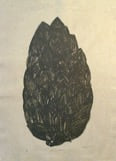 Blossom House, 1985, by Zarina
