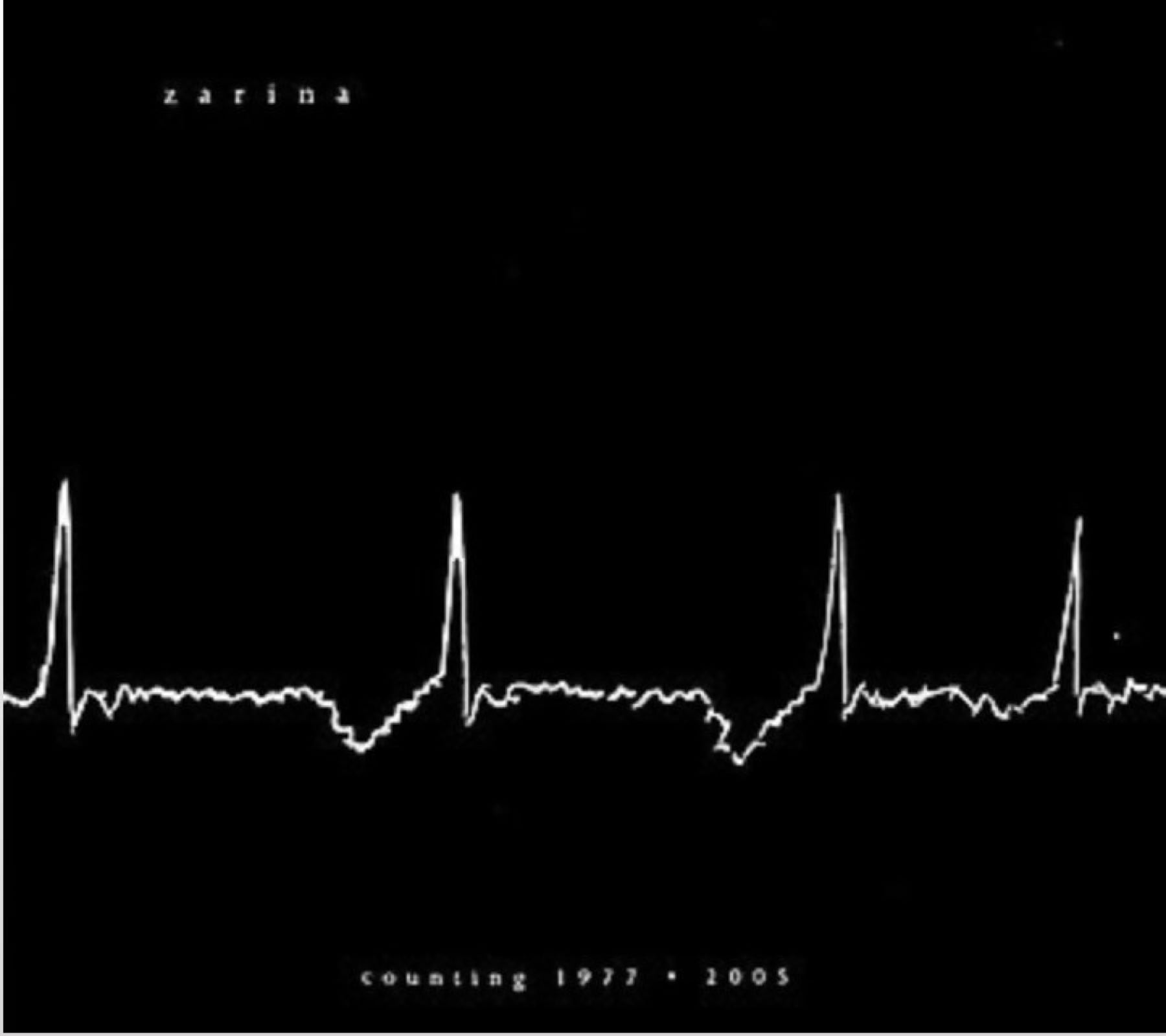 Cover of the exhibition catalogue Counting: 1977–2005, with Zarina’s linear heartbeat image